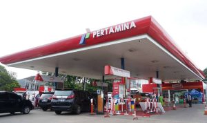 image_1763430028023_y4eucl