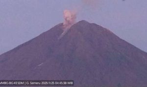 image_1764089547871_4c6bbp