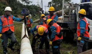 image_1766074493122_8haosr