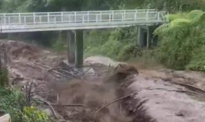 image_1766271624911_r9vu4u