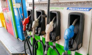 image_1767319029344_w5ln7h