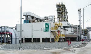 image_1769351661417_8ia6lm