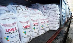 image_1769823317552_vlryfe