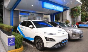 image_1771561048911_fqjetr