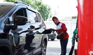 image_1772418924768_g8r1ff