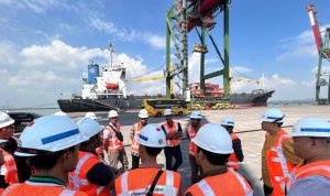 image_1775216239970_25u5q7