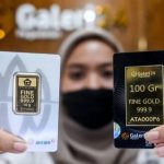 image_1776303954488_8x3kfr